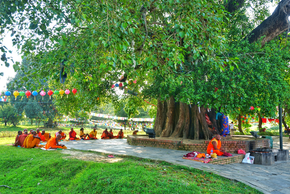 【尼泊尔】蓝毗尼──佛陀的故乡