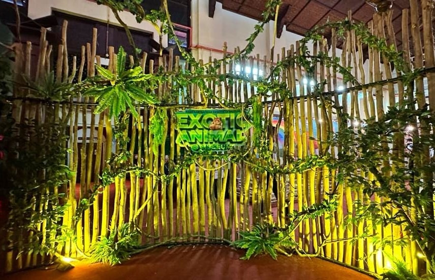 东：“奇珍异兽展”即日起至明年1月在哥市的丹州博物馆展出，50种罕先的动物一一呈献在你眼前。