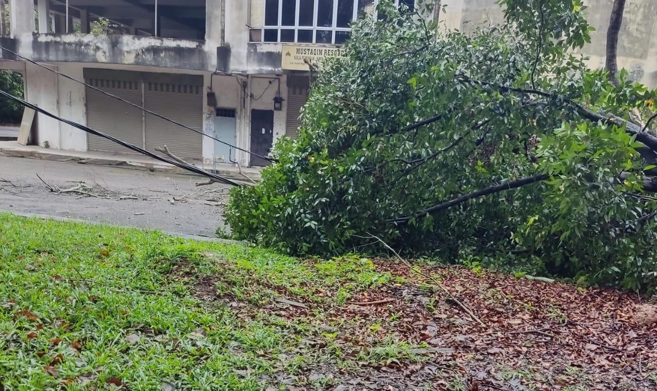 东：文德甲昨晚下起倾盆大雨，多处道路积水影响交通行驶，并传出倒树事件。