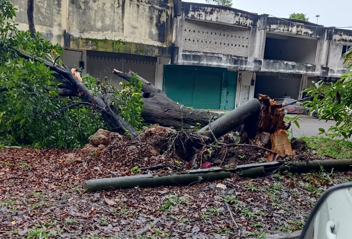 东：文德甲昨晚下起倾盆大雨，多处道路积水影响交通行驶，并传出倒树事件。