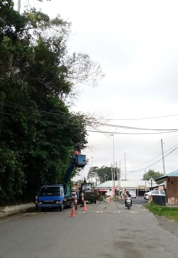 东：文德甲火车站小贩中心和文德甲英雄村花园的茂盛树枝，已获得淡马鲁市议会砍树组修砍和清理。