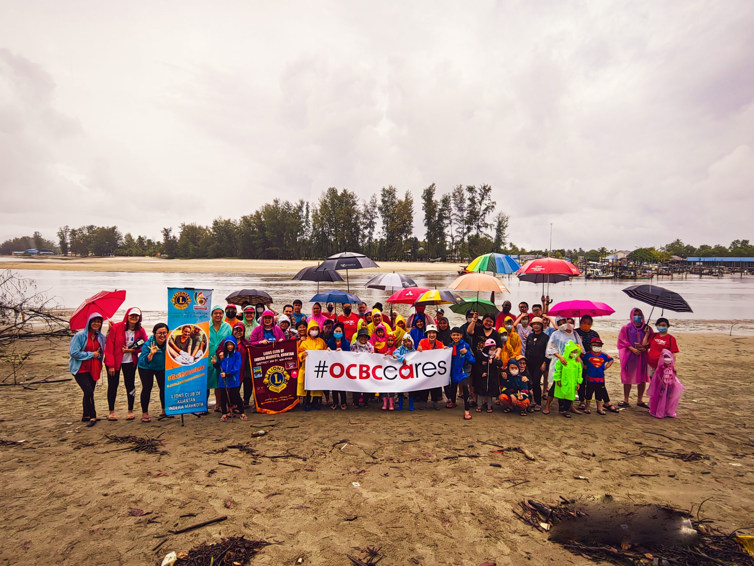 东：百人齐心协力，在米昔拉巴洛海滩，栽种900棵红木，以响应绿化马来西亚计划。