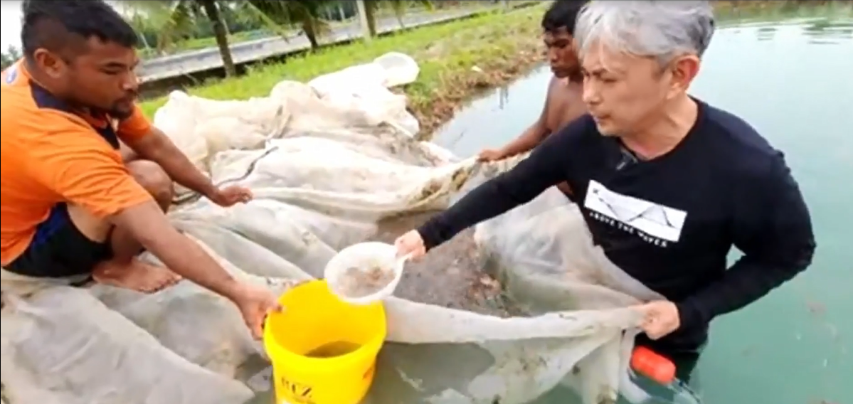 成功企业家人生下半场投入海洋保育工作，野放鱼苗，一年多后收获成果