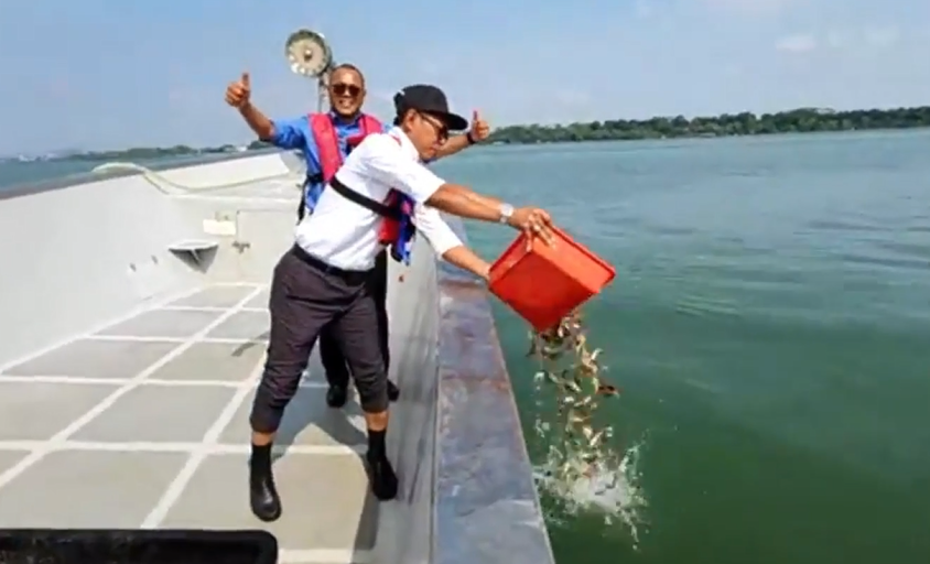 成功企业家人生下半场投入海洋保育工作，野放鱼苗，一年多后收获成果