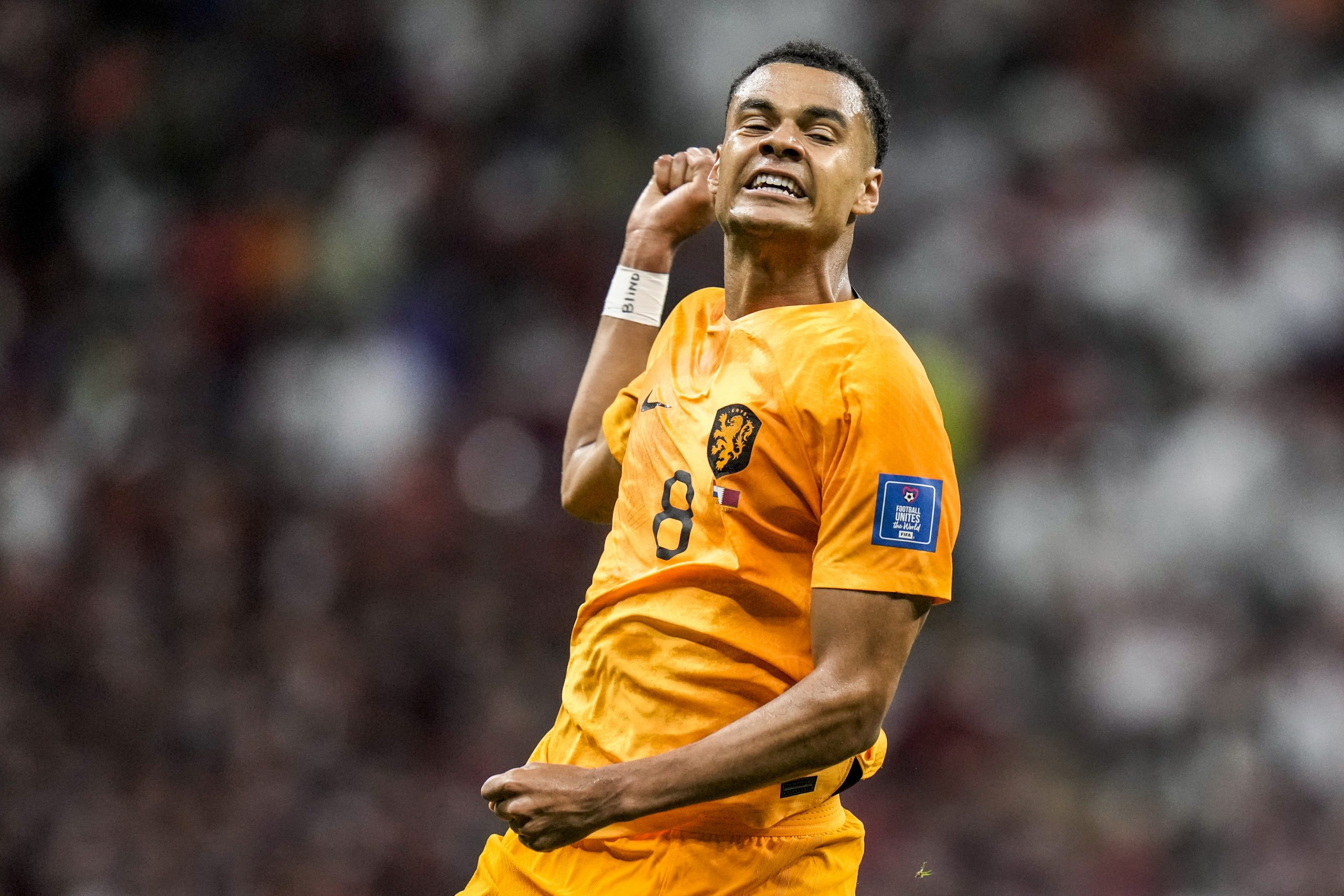 卡塔尔世界杯A组末轮|厄国随同卡塔尔出局 荷 塞携手晋级16强