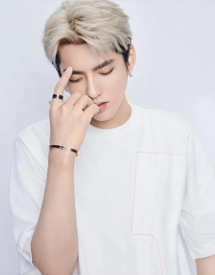 吴亦凡涉强奸聚众淫乱罪 ​被判13年加驱逐出境	