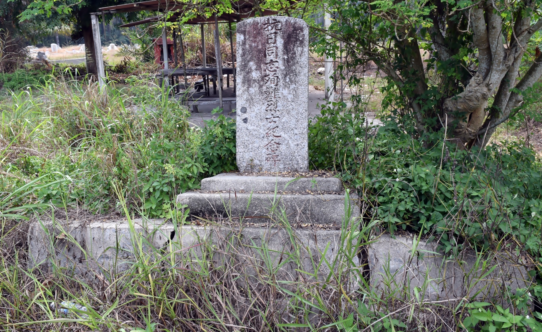 大霹雳封底主文/【选区走透透】/巴西沙叻