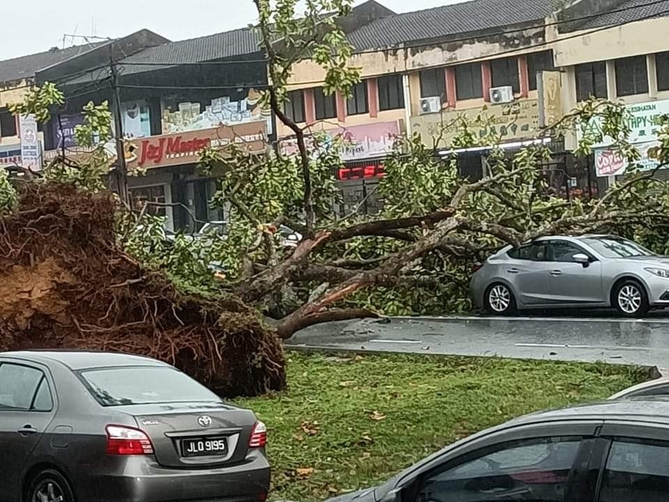 **已签发**柔:暴雨袭新山多区,淡杯车行遮雨棚坍塌压中多辆车