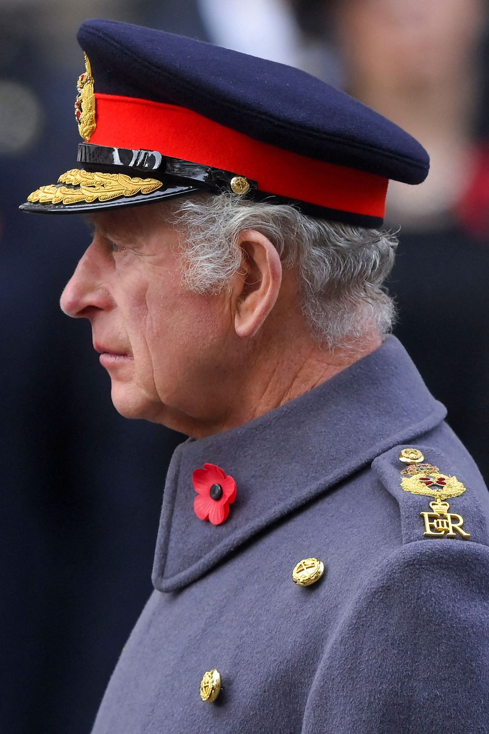 忧随时出事! 英王74岁生日当天要求国会增加摄政人选