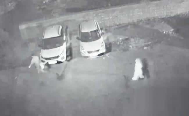 惊悚谋杀案震惊印度:一对母子碎尸后放冰箱,抛尸画面曝光