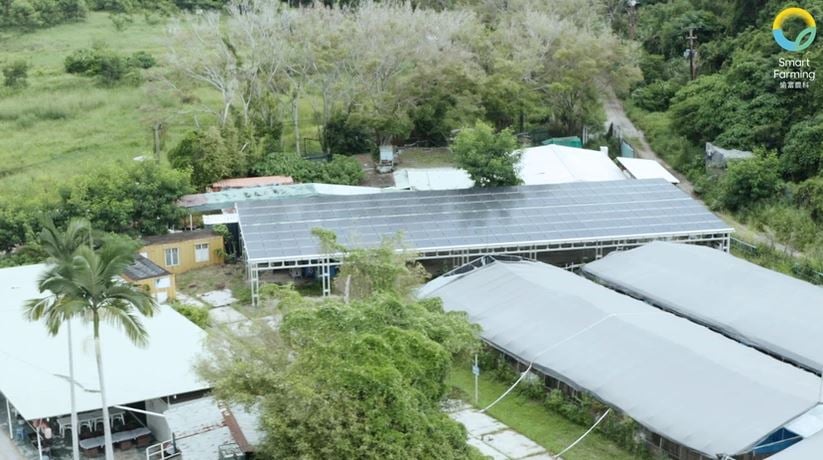 拚盘)智慧农业助攻环保养殖 愉富农科实现最鲜“忘不了”登港餐桌