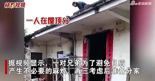 拼盘/兄弟分家竟拿出锯子硬切成两半 荒谬影片曝光