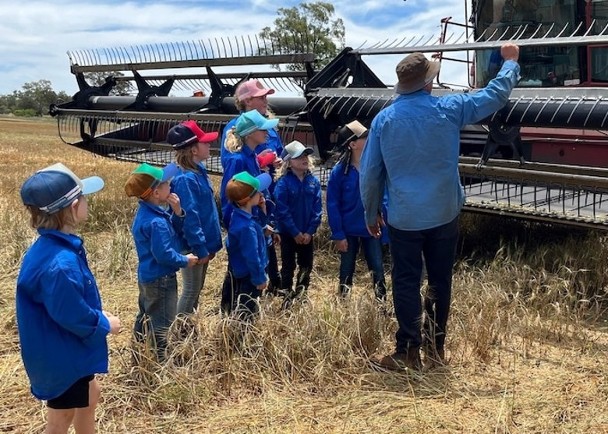 拼盘／新省偏远学校7童合作耕田　种出170吨小麦