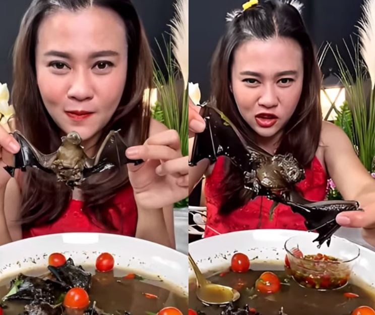 拼盘/网美直播吃蝙蝠:口感像老鼠! 被逮捕了