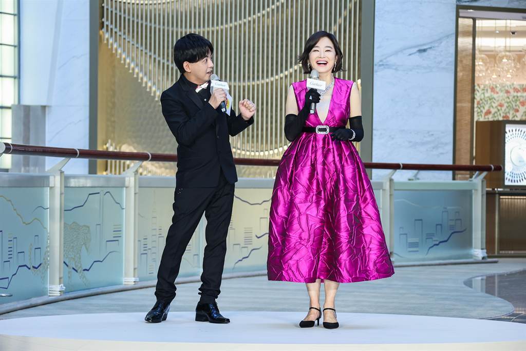 林青霞拒复出 梦想当巴黎街头画家