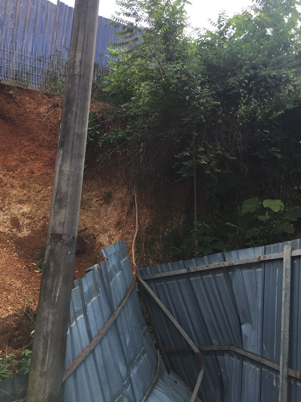 流浪狗收容所迁新地遇土崩 MyKebun要筹4万巩固泥壁