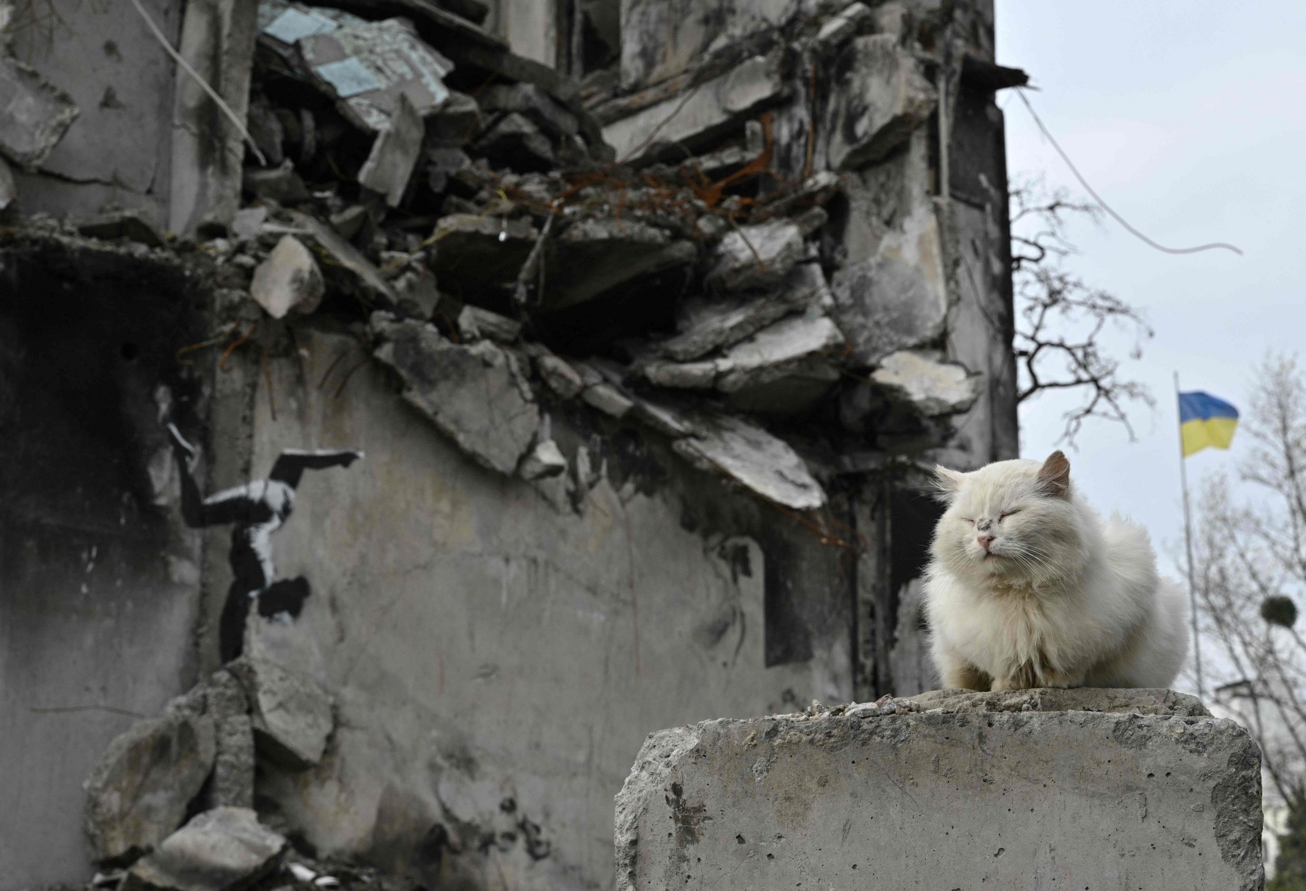看世界/班克斯乌克兰街头涂鸦 民众欣喜:象征坚不可摧