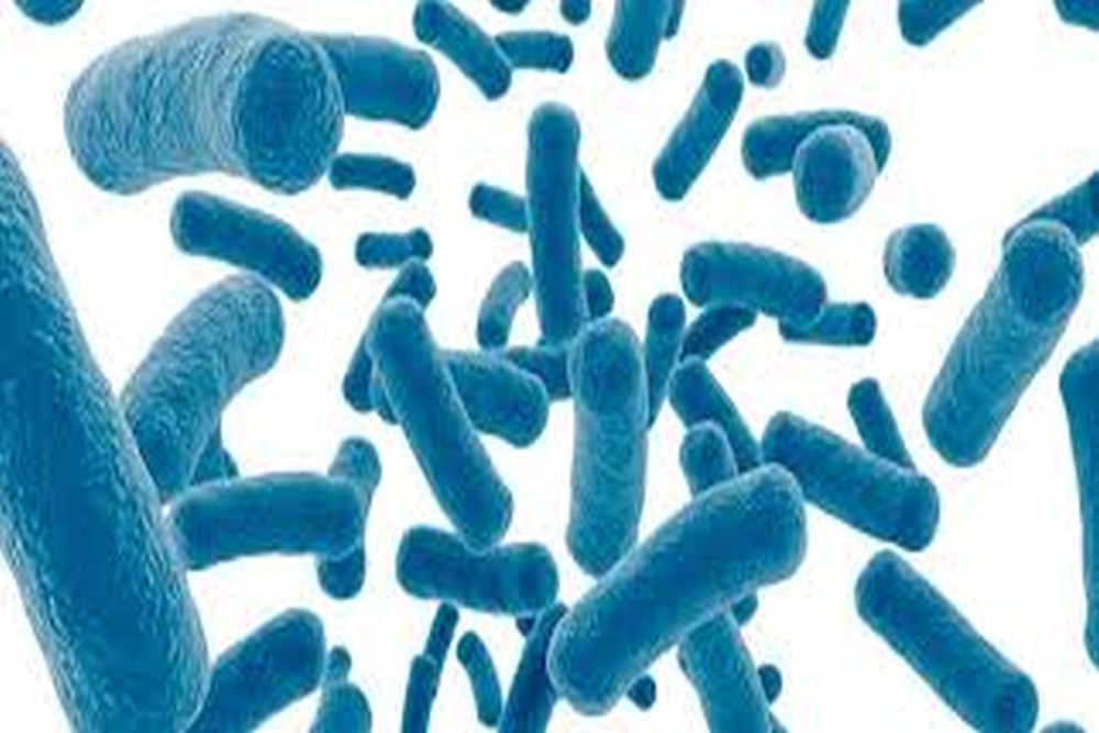 研究:细菌感染年夺770万命 居全球死因第2名