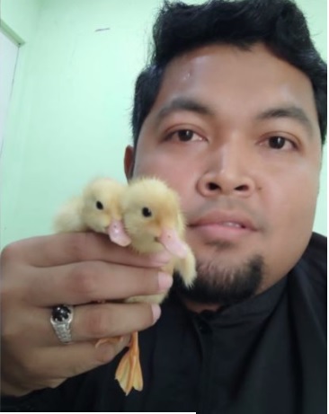 租客留下鸭蛋孵出13小鸭 民宿老板“荣陞”鸭爸爸