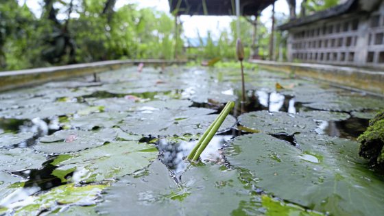 简朴中相遇──张盛德《天命》音乐分享会