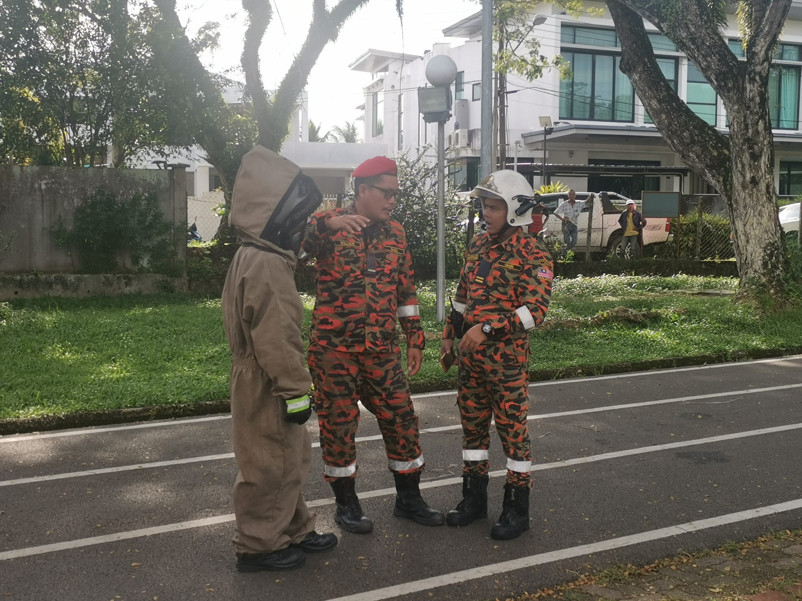 美里/公园发生黄蜂(又称虎头蜂)螫死人事件!