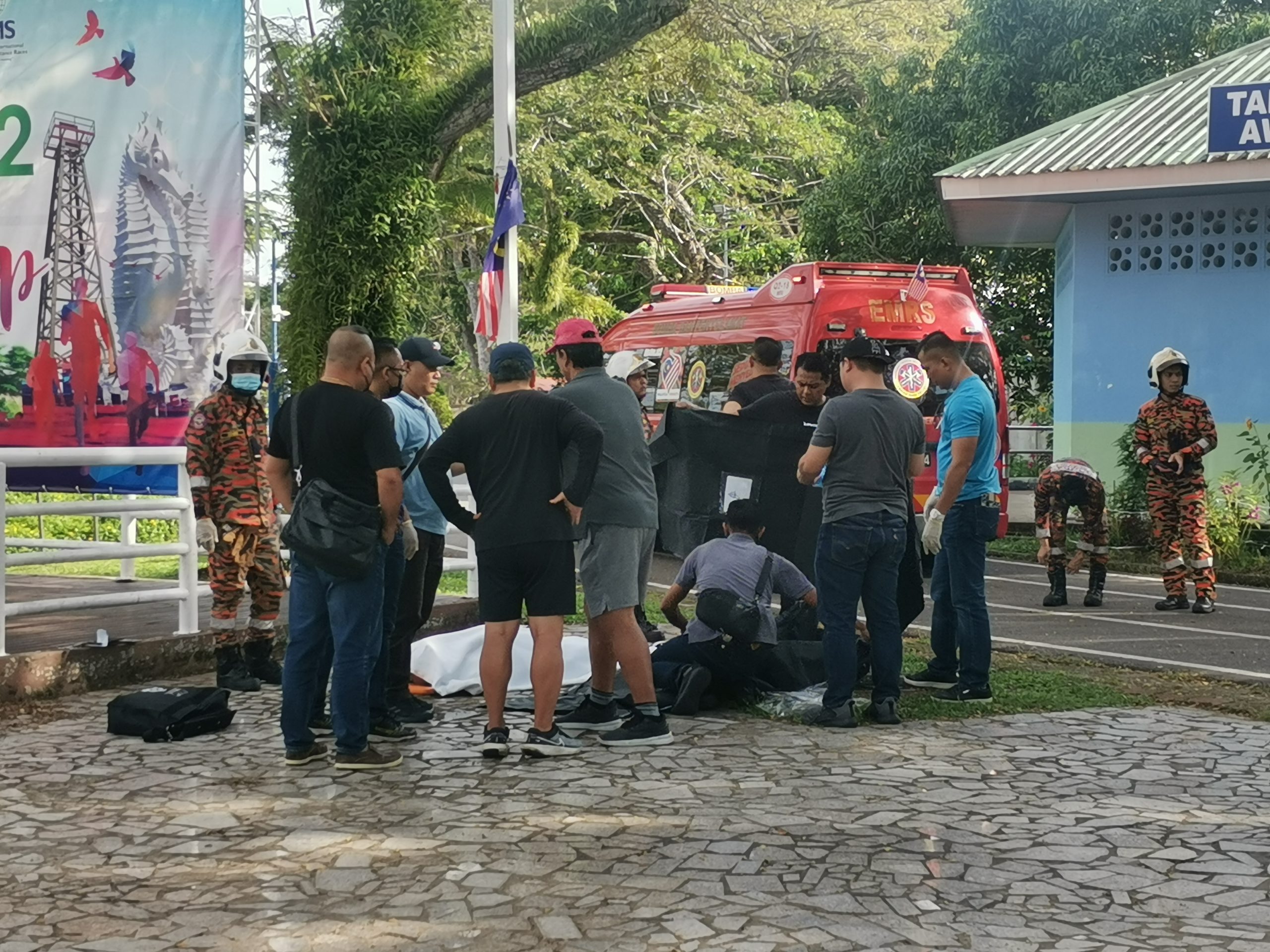 美里/公园发生黄蜂(又称虎头蜂)螫死人事件!