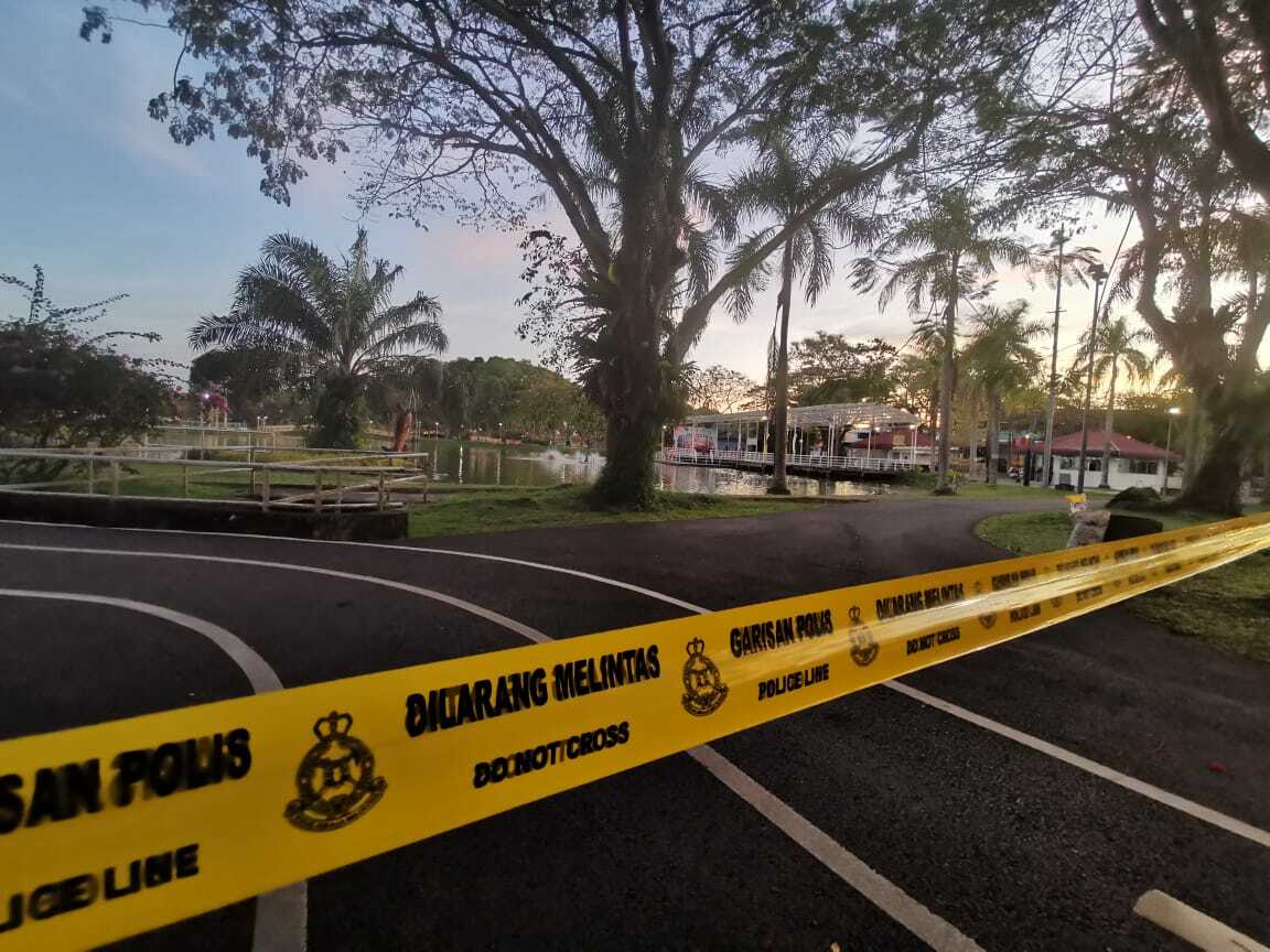 美里/公园发生黄蜂(又称虎头蜂)螫死人事件!