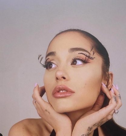 艾莉安娜胞兄当街遭打劫 警捕获2少年