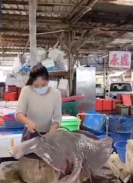 视频|卖鱼妹PP“鱼”众不同 擅长切鱼煮鱼还会变装