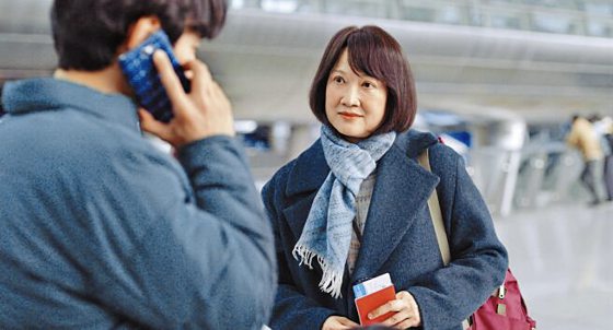  费比安／《花路阿朱妈》新加坡大妈寻什么？