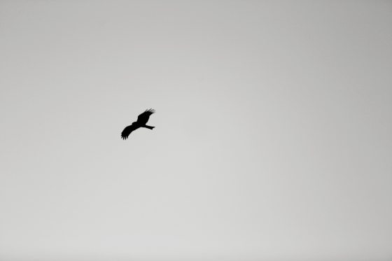 陈子韩／想像空间