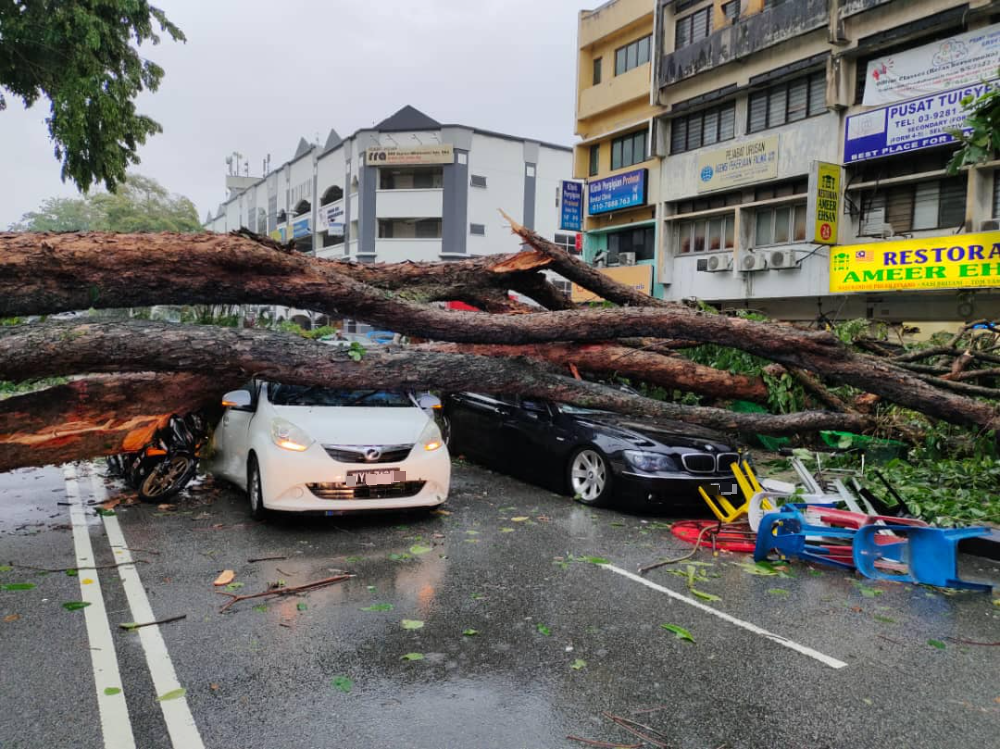 隆市午间大雨 大树倾倒压中车
