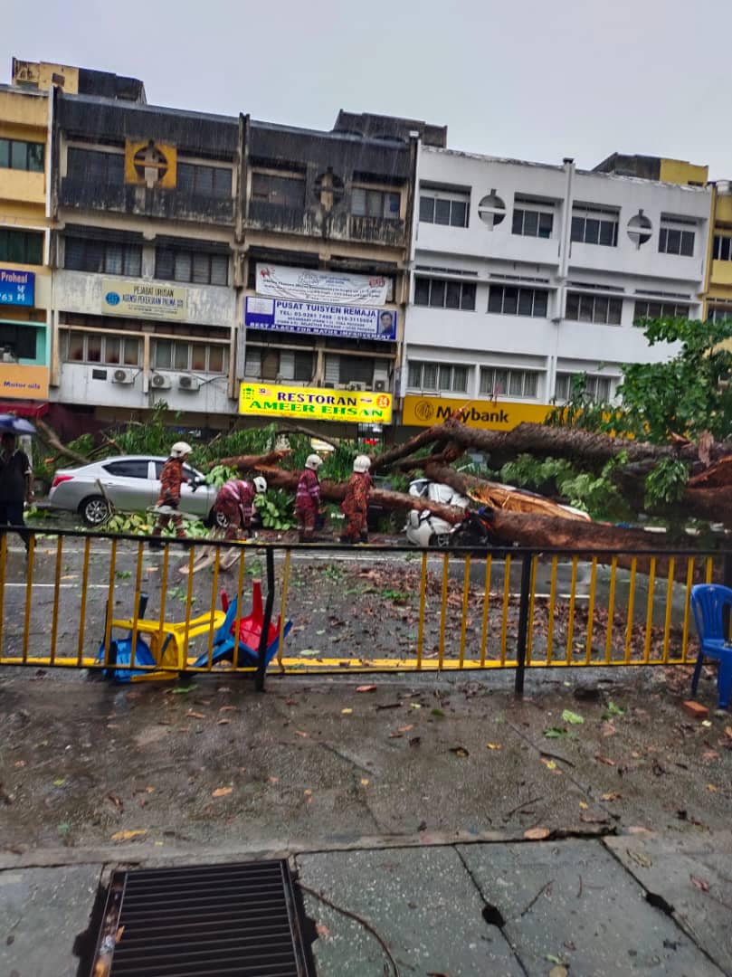 隆市午间大雨 大树倾倒压中车