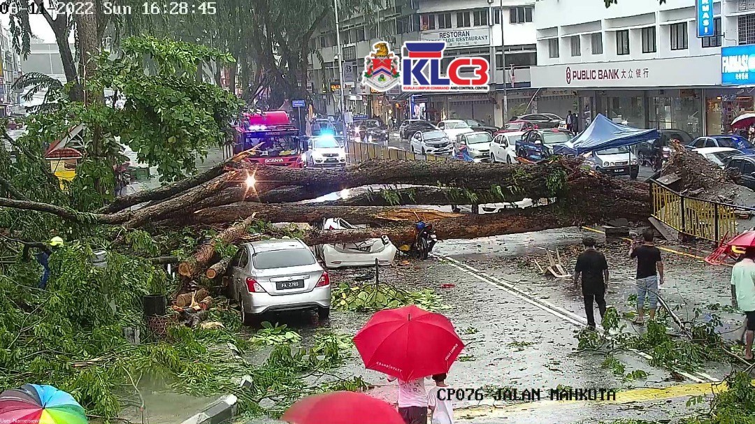 隆市午间大雨 大树倾倒压中车