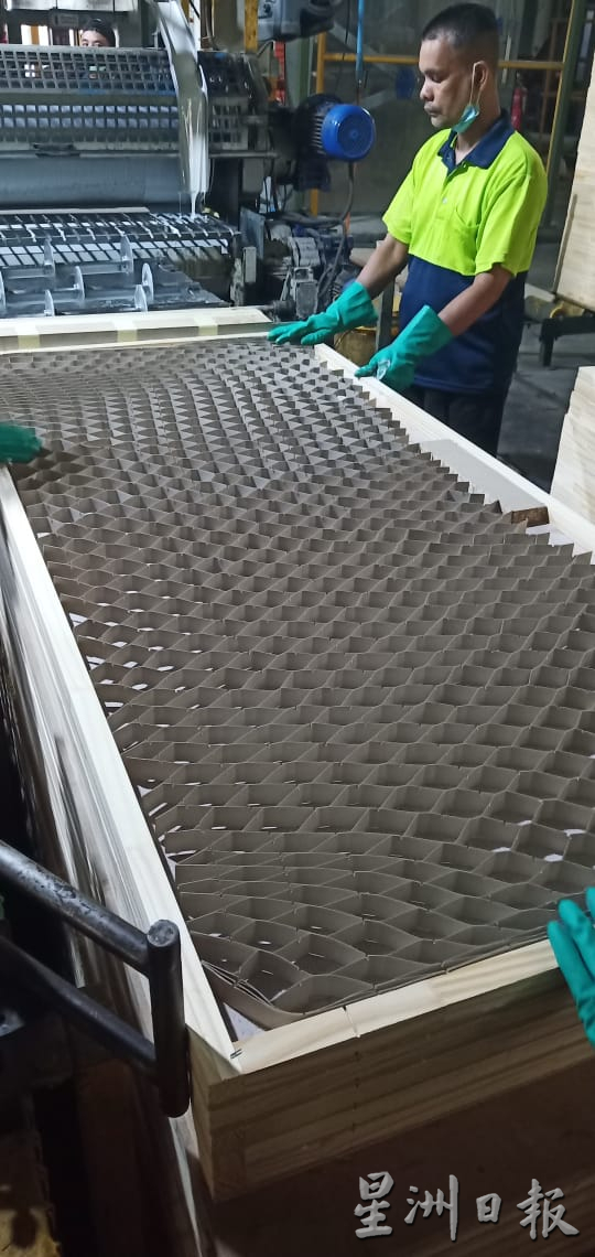 霹：30日见报／封底主文／【它的诞生】蜂窝纸