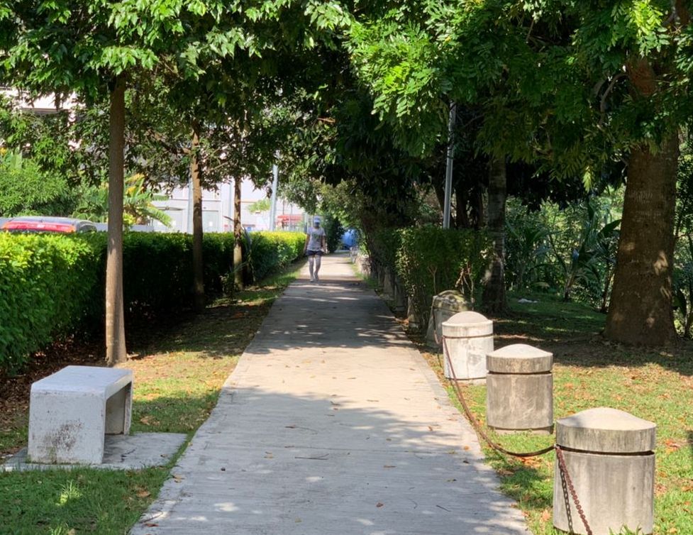（古城封面副文）甘榜仄迪树倒藏杀机 刘志俍促市政厅检查树木