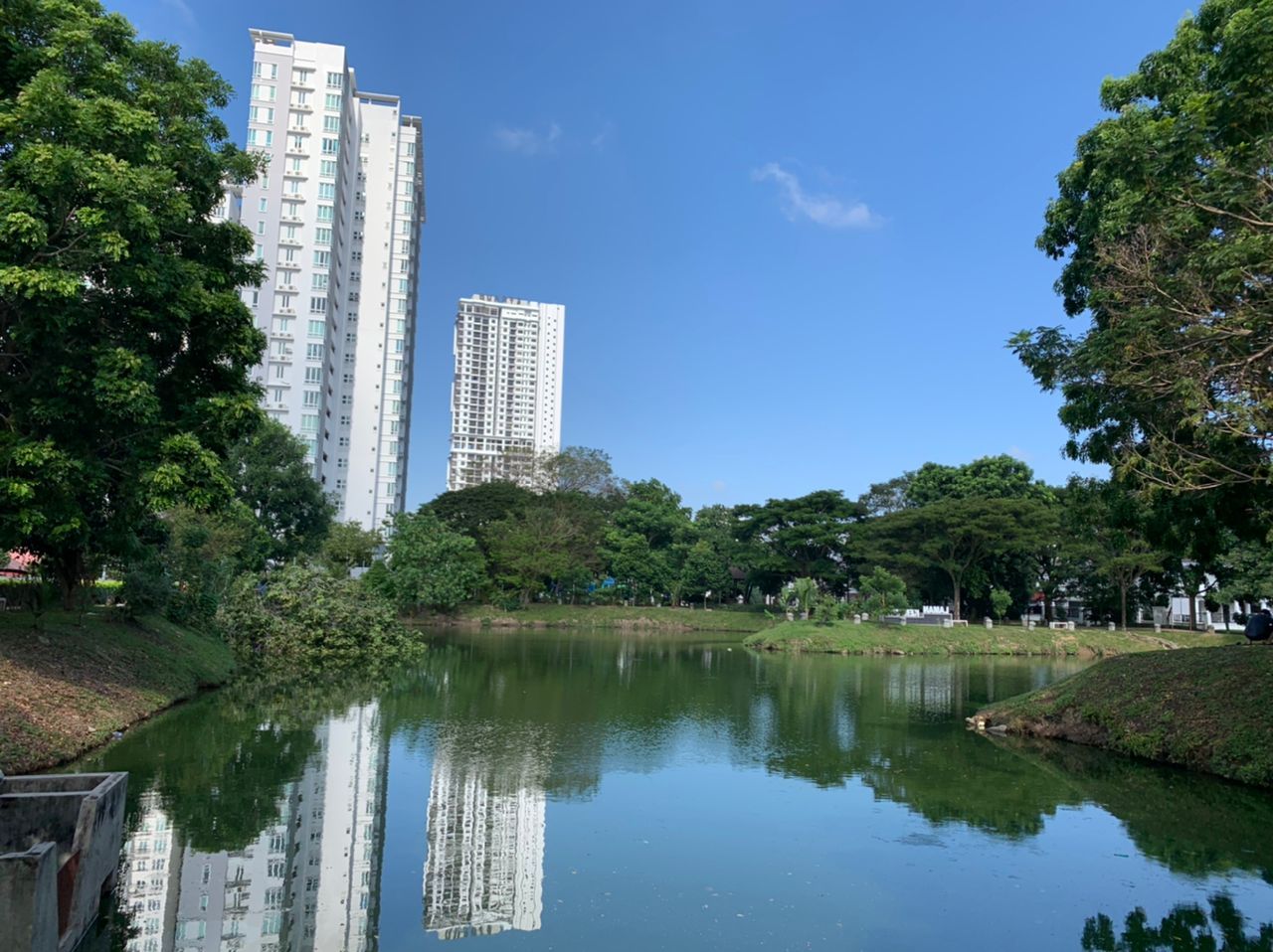 （古城封面副文）甘榜仄迪树倒藏杀机 刘志俍促市政厅检查树木