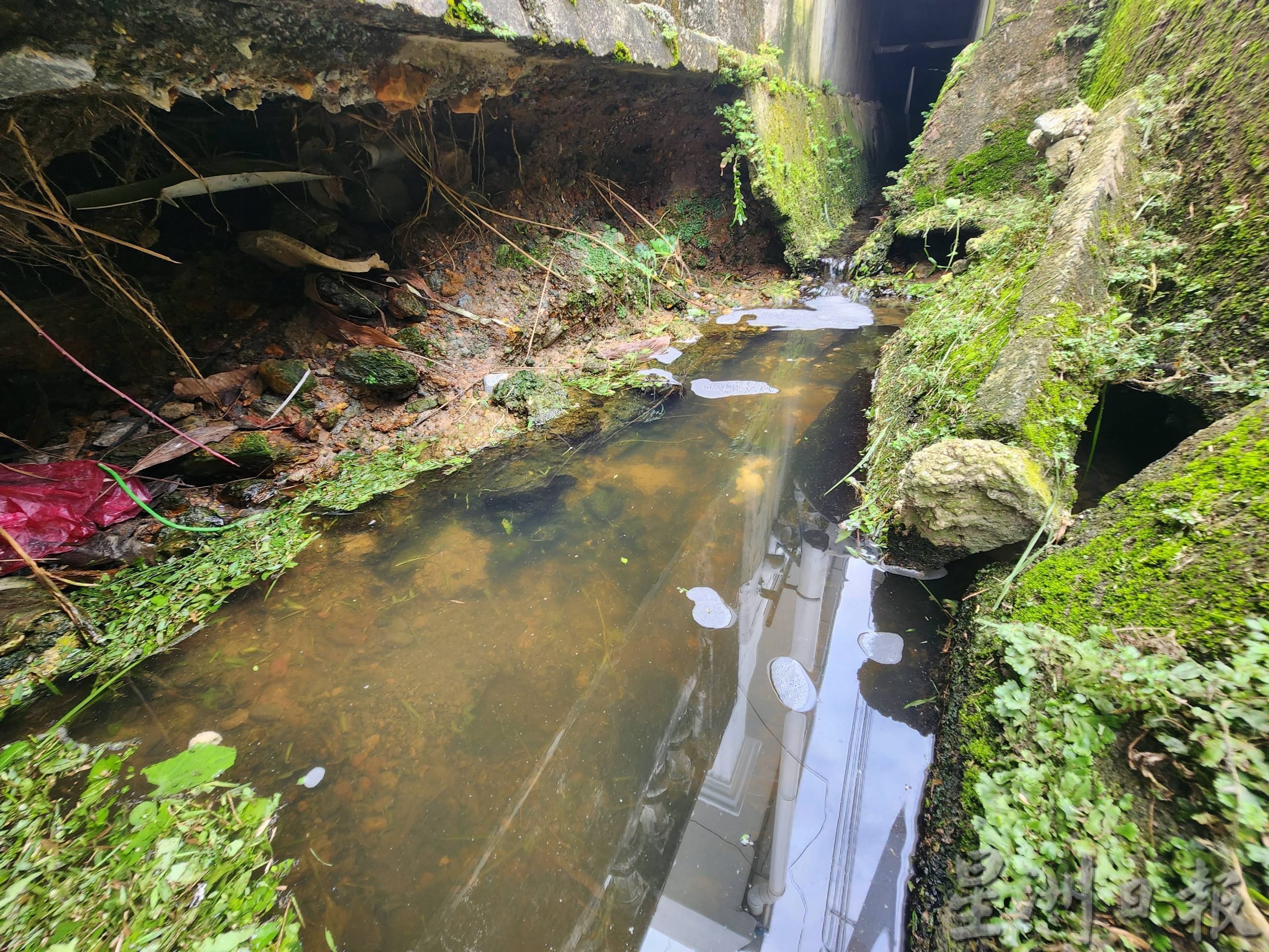 (古城版)国花花园达利亚2路4住家沟渠崩塌导致地底水土流失,地板已出现裂缝