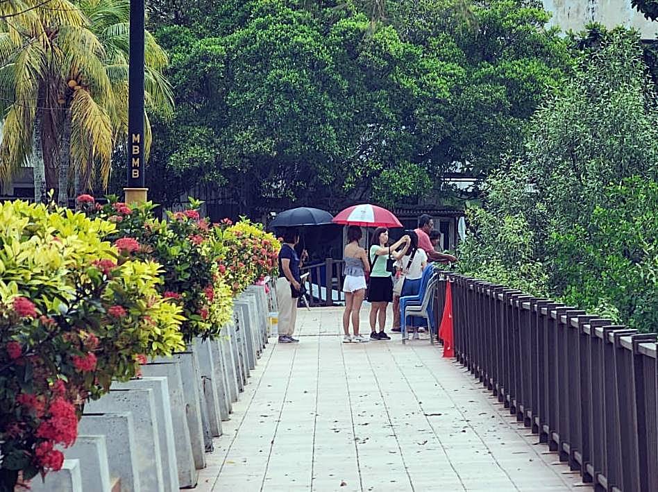 （古城第二版主文）林朝雁：圣诞节将至，葡萄牙村基设问题一箩筐，盼政府照顾设施安全及美观
