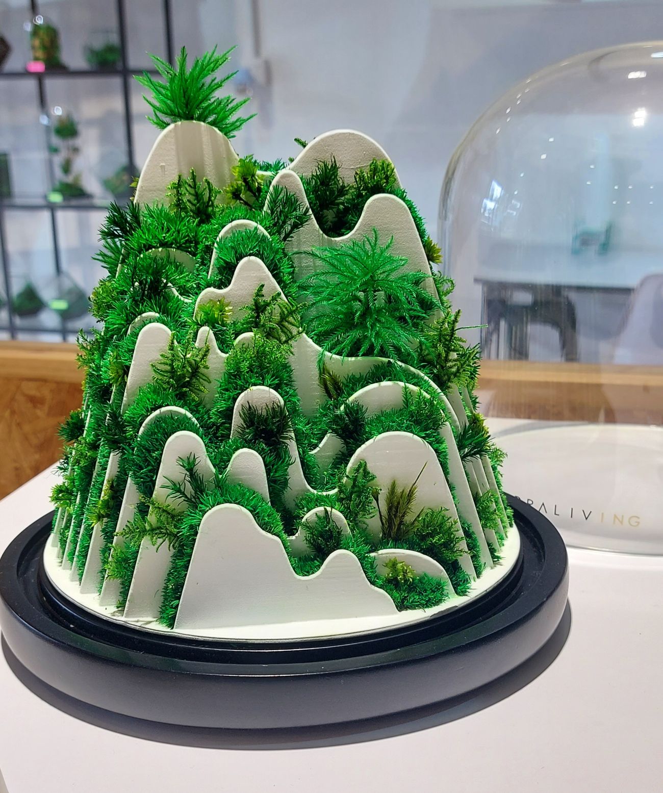 （古城第五版主文）手作的温度:TerraLiving微景观瓶