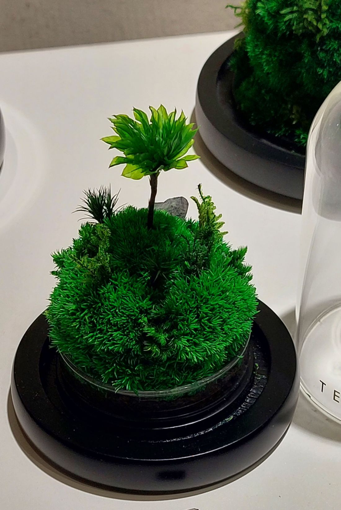 （古城第五版主文）手作的温度:TerraLiving微景观瓶