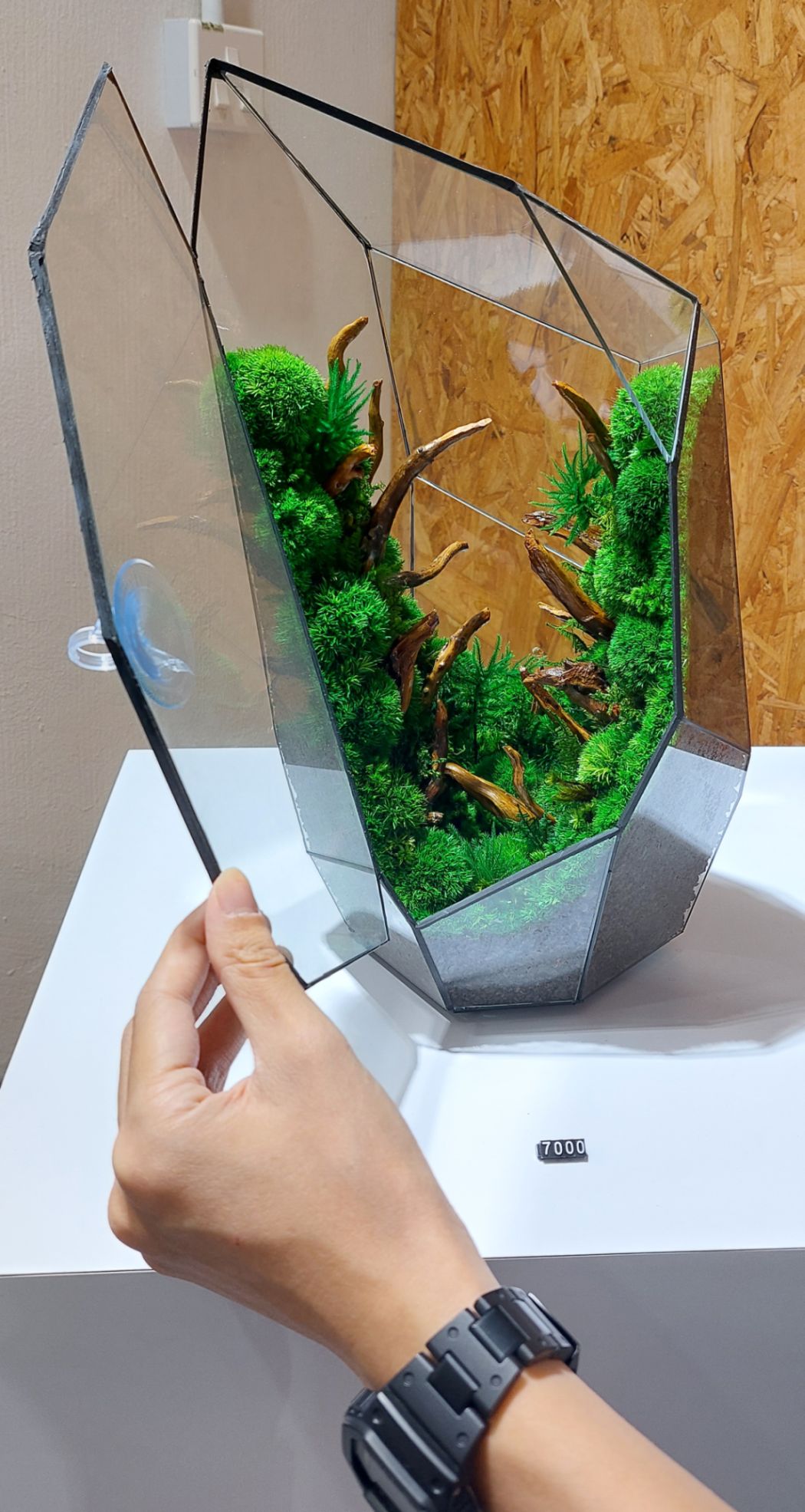 （古城第五版主文）手作的温度:TerraLiving微景观瓶