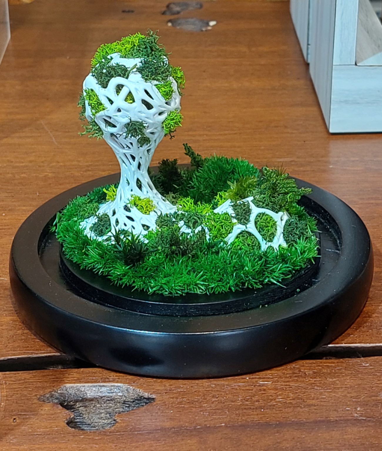 （古城第五版主文）手作的温度:TerraLiving微景观瓶