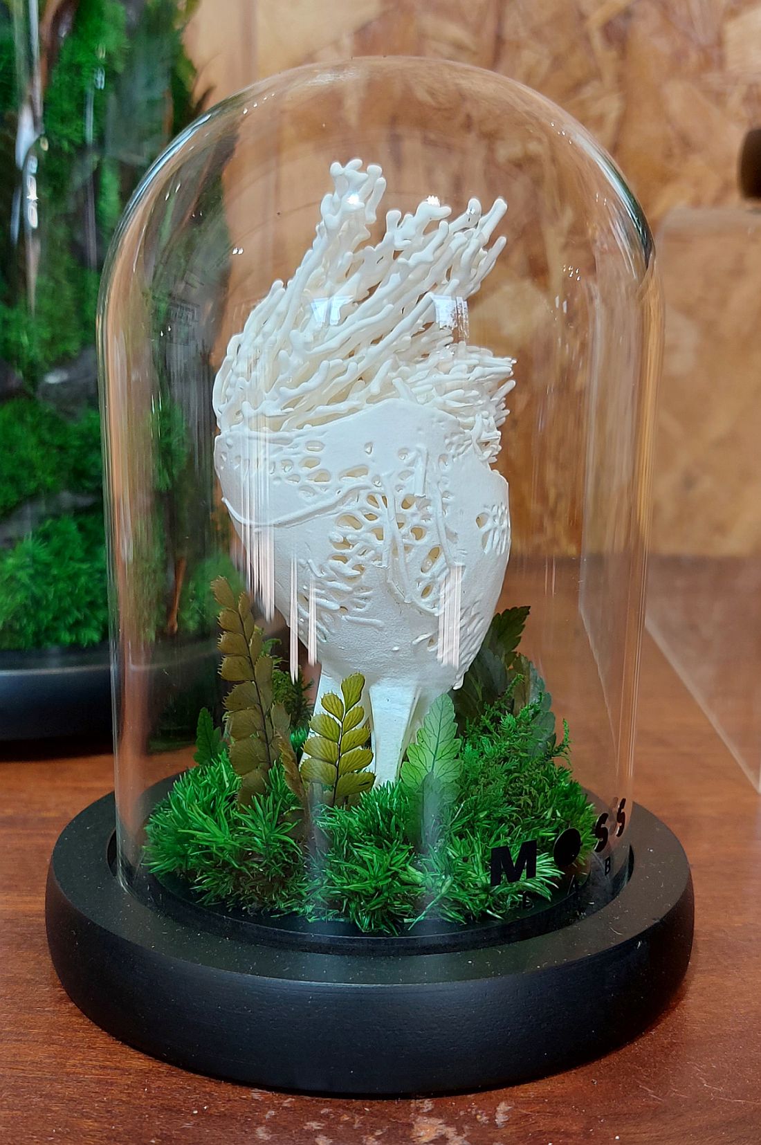 （古城第五版主文）手作的温度:TerraLiving微景观瓶