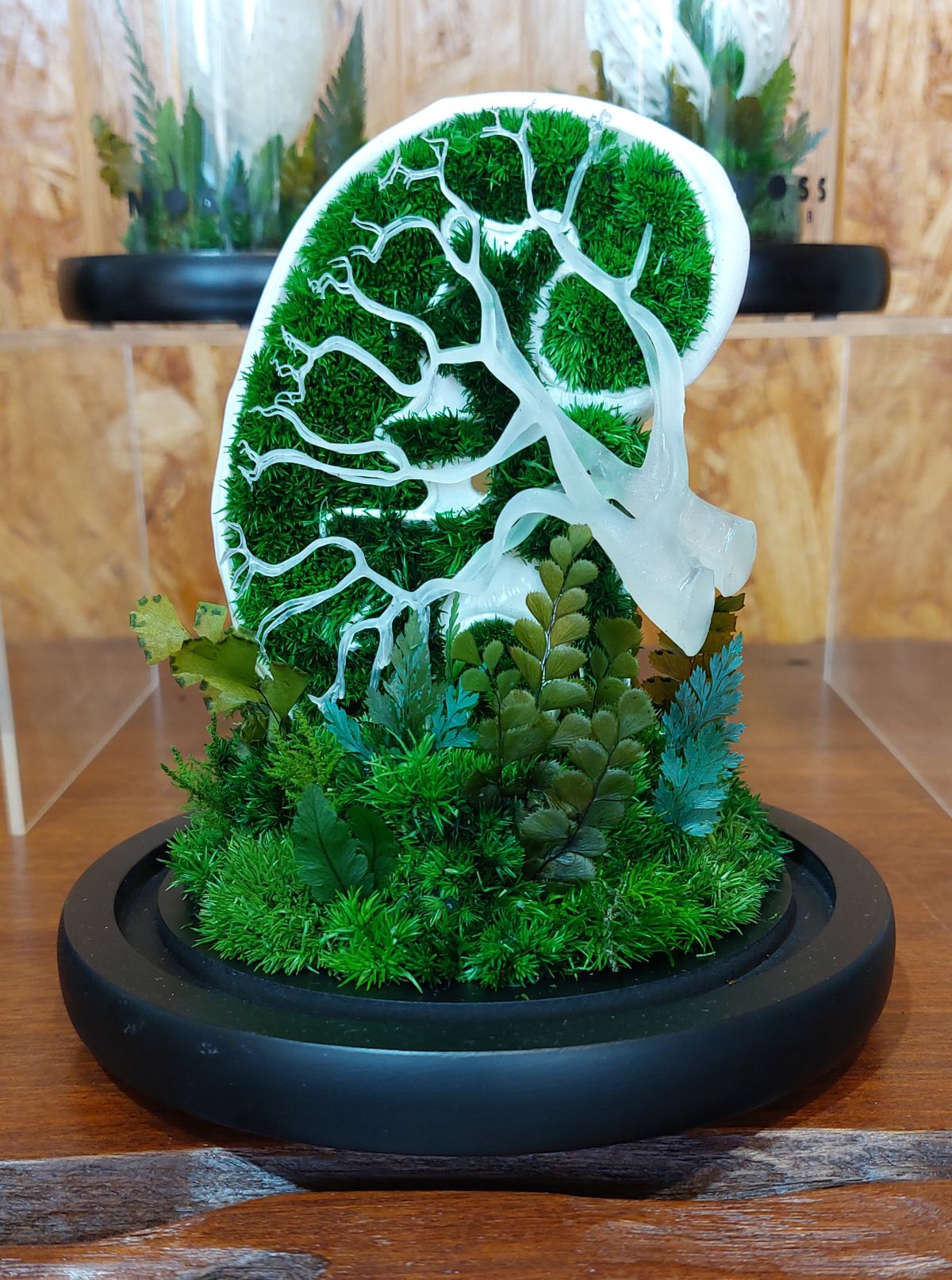 （古城第五版主文）手作的温度:TerraLiving微景观瓶