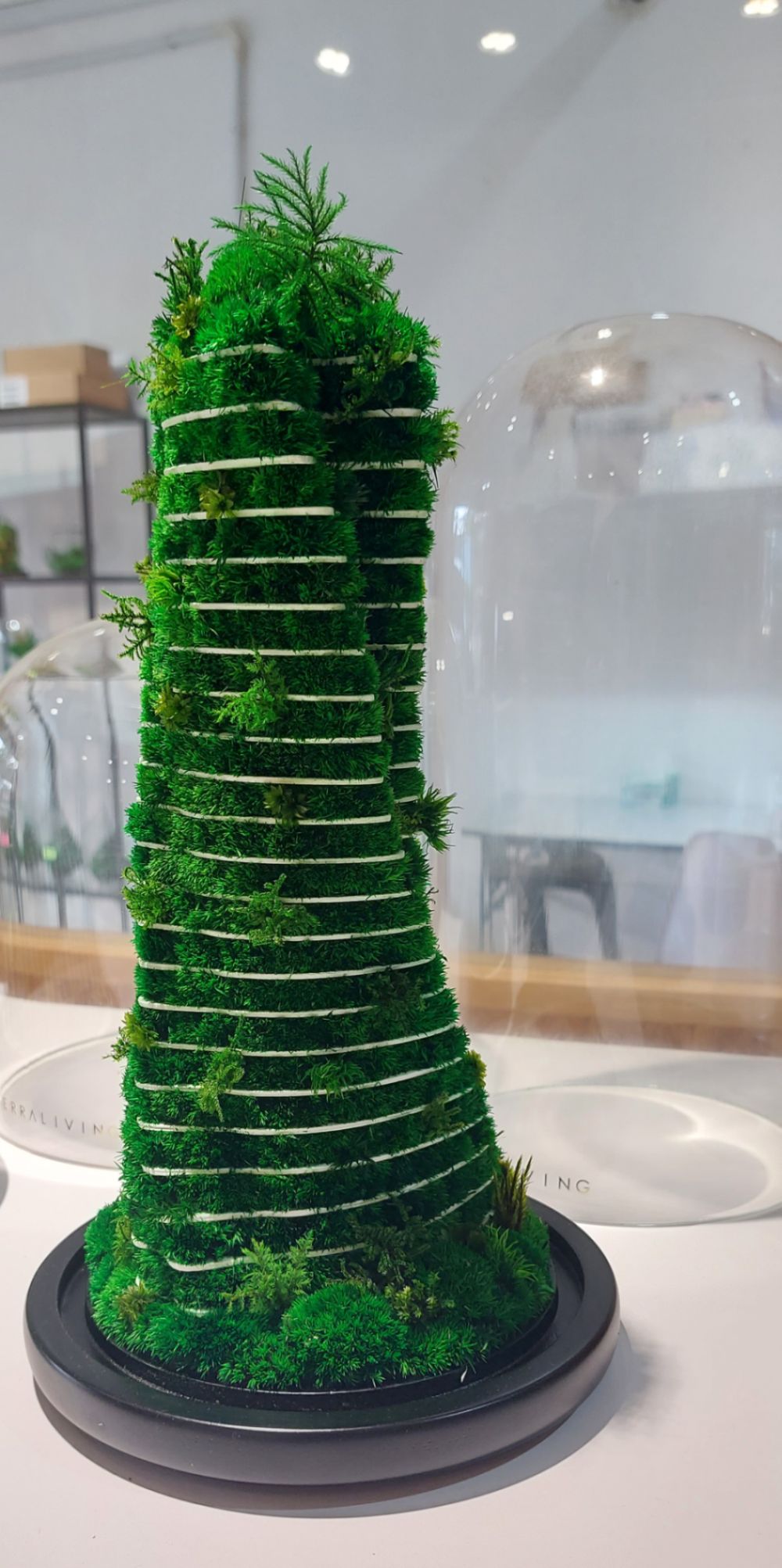 （古城第五版主文）手作的温度:TerraLiving微景观瓶