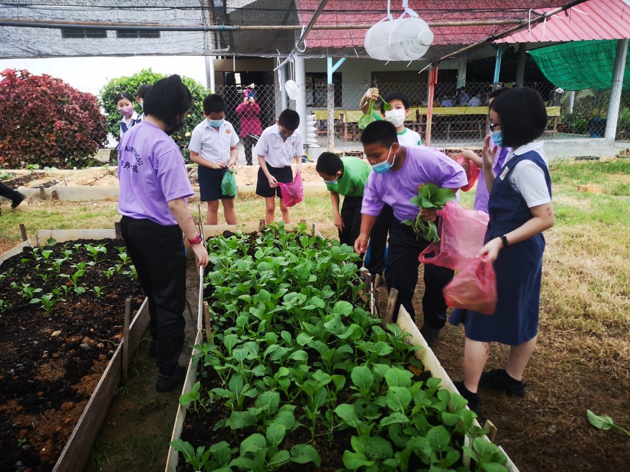 （大北马）亚罗邦士华小办科学美术展 展出学生作品与成果 