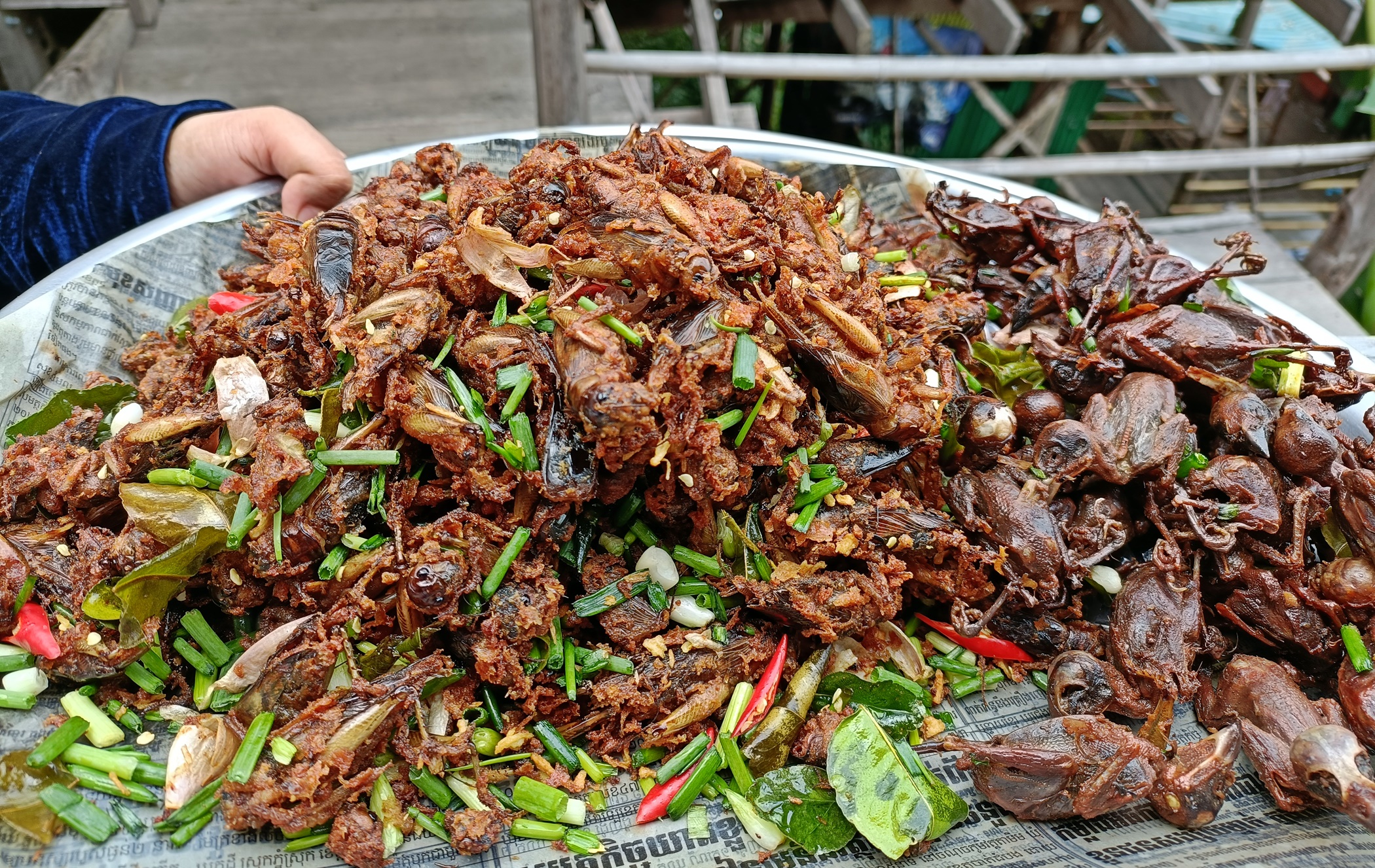 15/12见报∕发现东盟/主文二/柬埔寨的旅游和美食