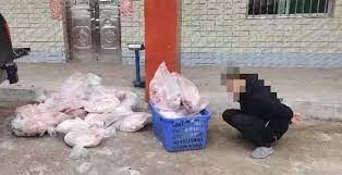 4人涉毒镖射杀犬只被捕　警检逾500公斤疑似狗肉