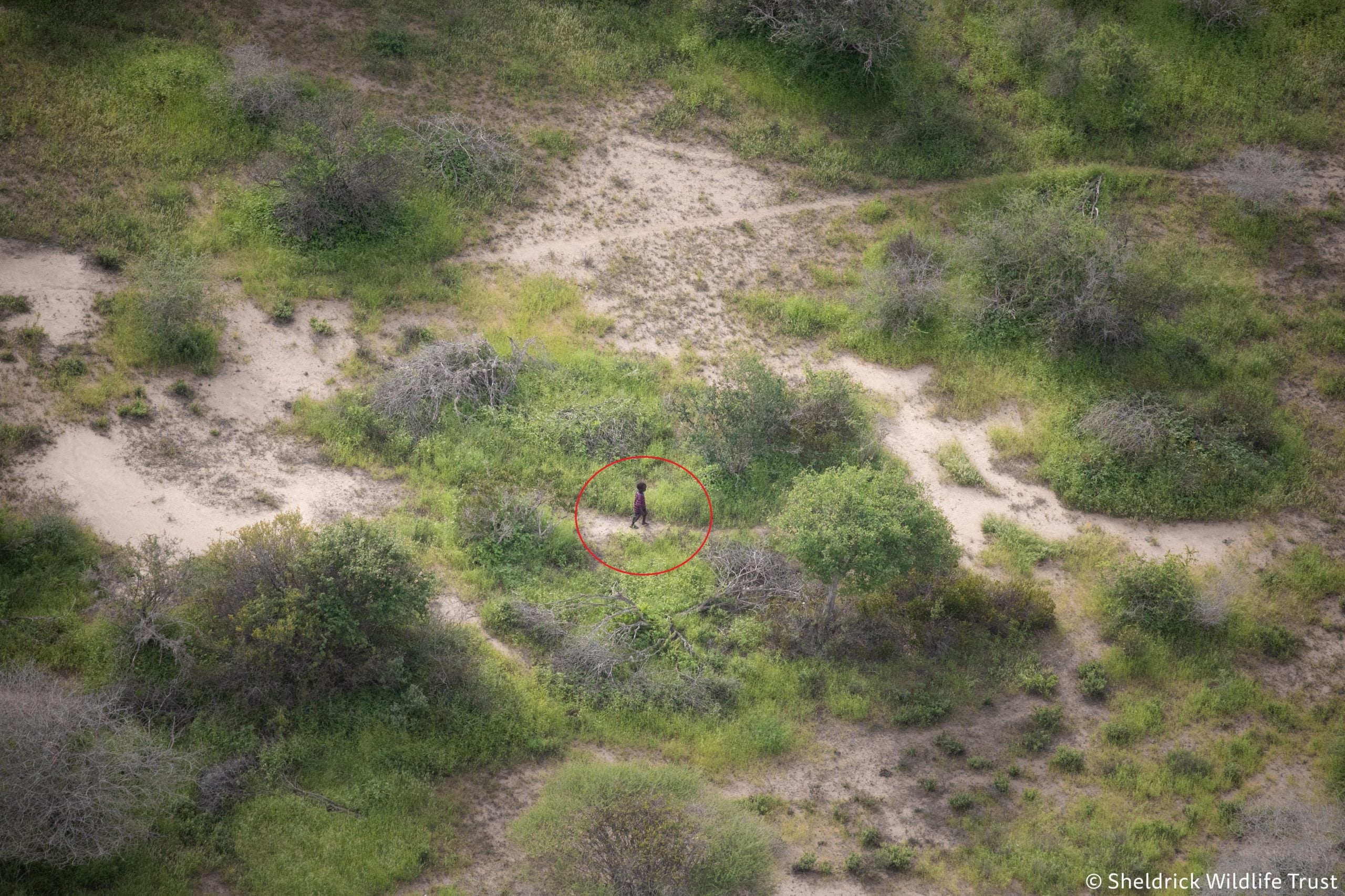 4岁男童与家人走散 荒野中奇迹生存6天